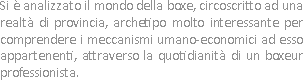 Si è analizzato il mondo della boxe, circoscritto ad una realtà di provincia, archetipo molto interessante per comprendere i meccanismi umano-economici ad esso appartenenti, attraverso la quotidianità di un boxeur professionista.